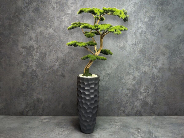 Yapay Bonsai Ağacı Doğal Gövde 220 cm Antrasit Fiber Saksılı