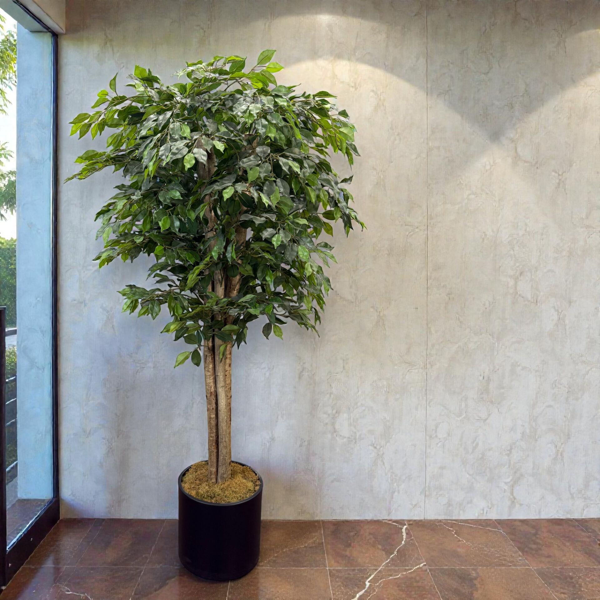 Ficus Ağacı 180cm