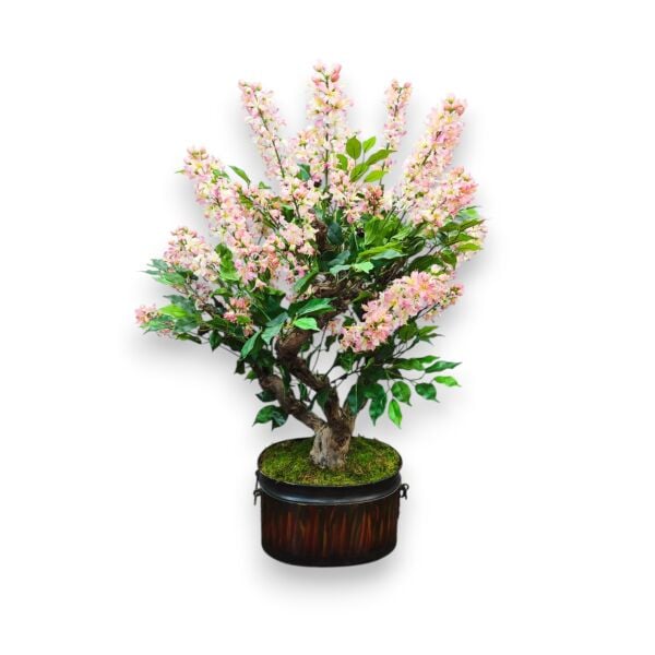 Dekoratif Eskitme Saksılı Bonsai Ağacı 120cm