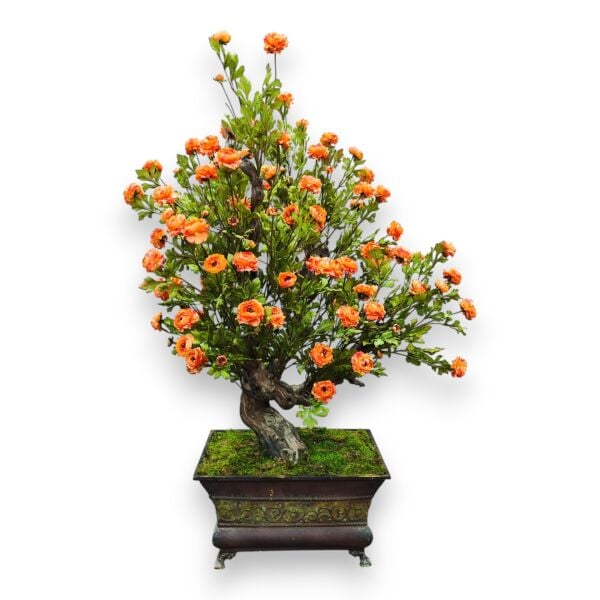 Dekoratif Eskitme Saksılı Bonsai  Ağacı 120cm
