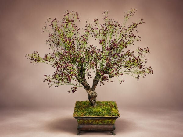 100 cm Yapay Sakura Bonsai Ağacı - Eskitme Bakır Saksılı