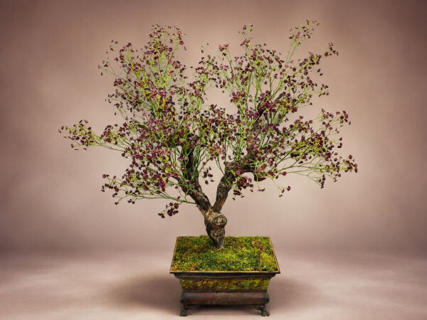 Çiçekli Yapay Bonsai Ağacı Bordo 100 cm