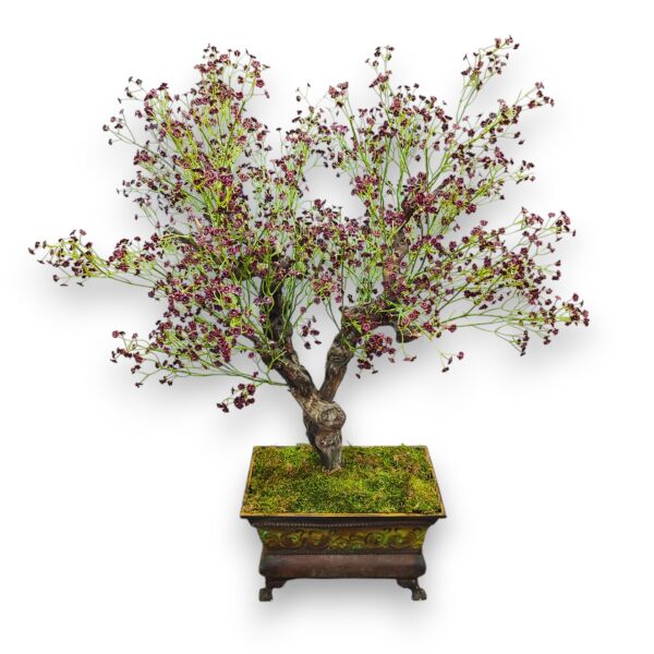 Dekoratif Eskitme Saksılı Bonsai  Ağacı 100cm