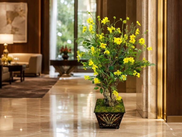 Dekoratif Eskitme Saksılı Bonsai Ağacı 120 cm
