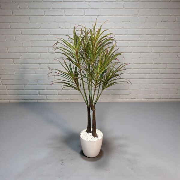 Dracena 160cm
