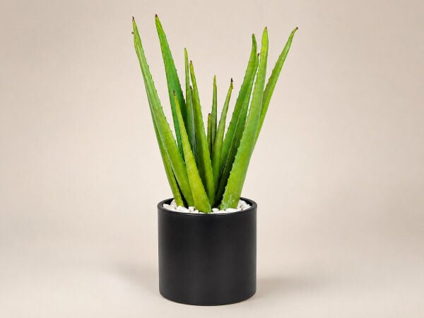 Yapay Aloe Vera Bitkisi Siyah Metal Saksılı 70 cm