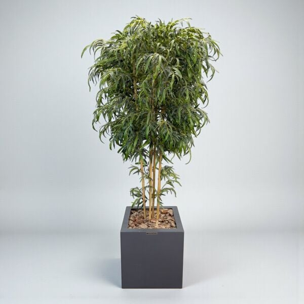 Yapay Bambu Ağacı 240cm - Fiberglass Saksı