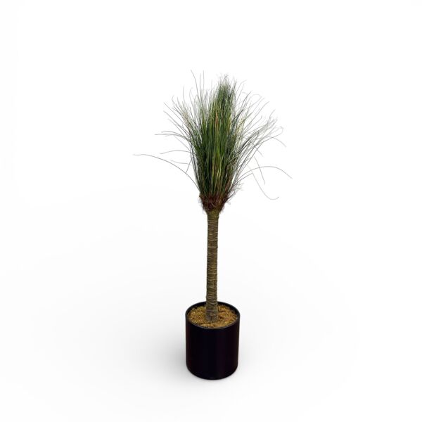 Grass Tree 160cm