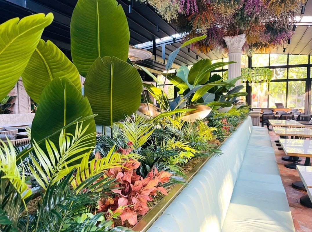 Yapay Peyzaj & Dekorasyon